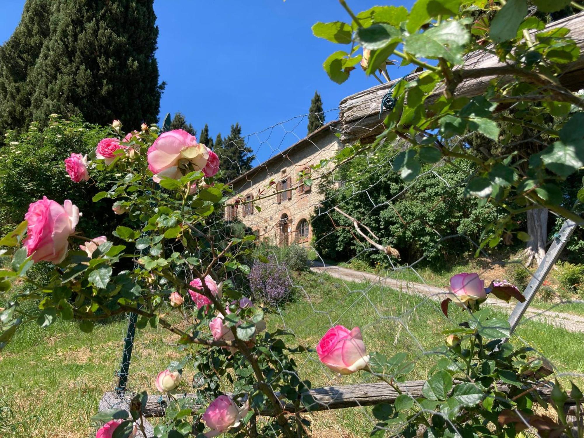 Agriturismo Il Caio Четона Экстерьер фото
