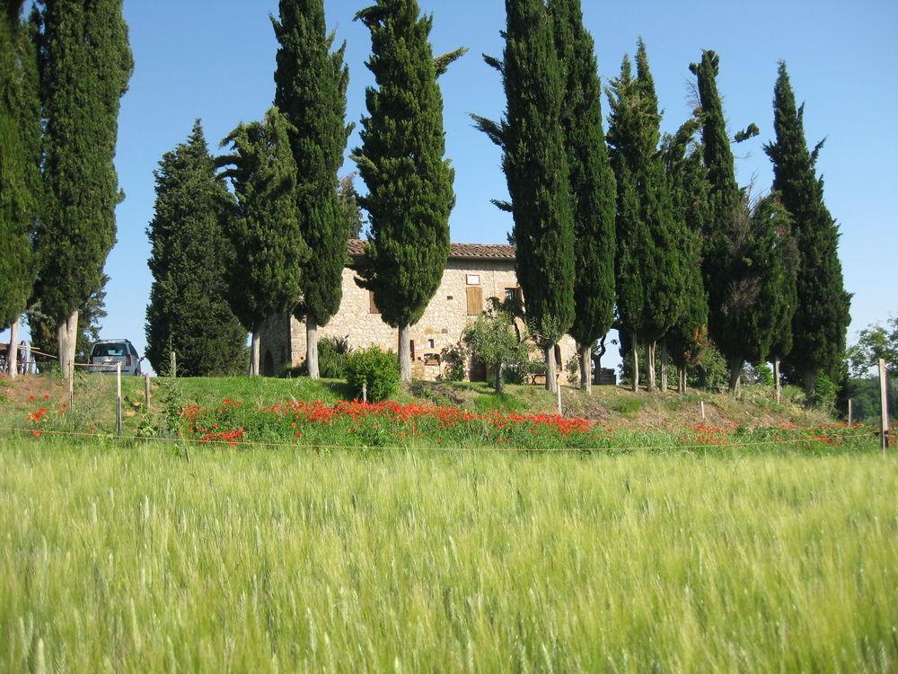 Agriturismo Il Caio Четона Экстерьер фото
